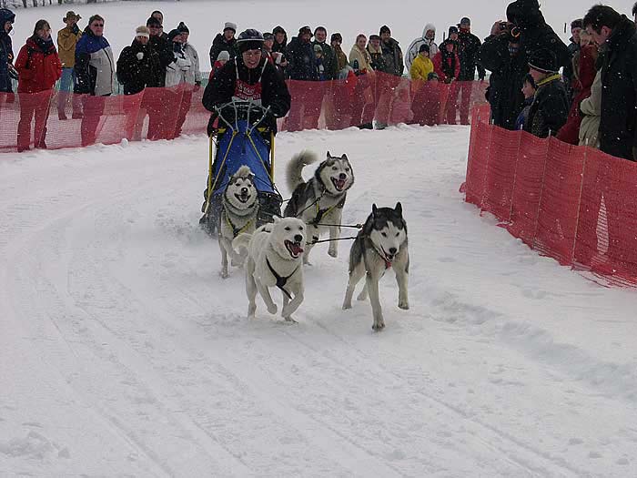 2003 schlittenhunde006.jpg
